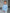 Gym+Coffee Kids Snap Collar Sierra Sweatshirt in Glacial Blue