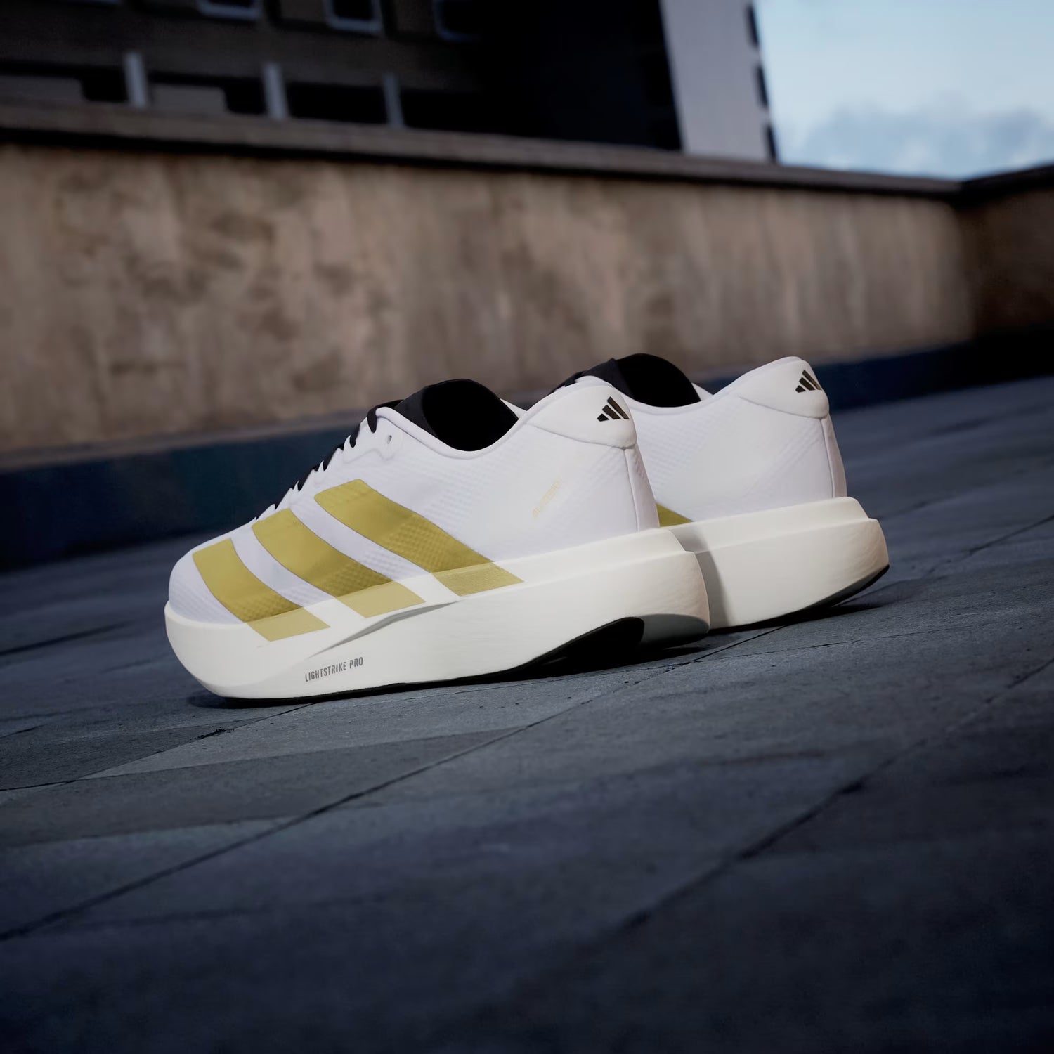 Adidas Adizero EVO SL Shoes M White/Gold