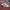 Adidas ADIZERO Prime X3 Strung U White/Red