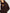 Gym + Coffee Women's Industry Fleece High Collar Jacket in Mocha Bean