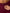 Gym+ Coffee Women's 7/8 Legging Cherry Crush