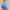 Gym+Coffee Soft-Motion 5" Bike Short W Periwinkle Blue