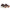 Saucony Triumph 24 W Torte/Touch