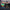Goodr OG's Sunglasses Electric Dinotopia Carnival