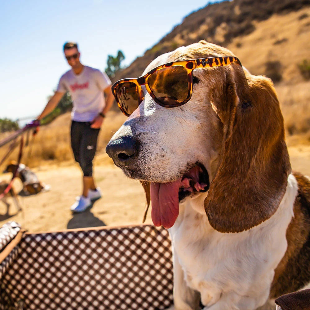 Goodr OG's Sunglasses Bosleys Basset Hound Dreams