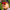 Goodr Bolt G Sunglasses Dante's Shin Splint Inferno