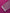 Ronhill Tech Women's Tech Reflect L/S Tee - Blackcurrant/Reflect
