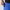 Brooks Journey 7" 2-in-1 Short M Neo Blue