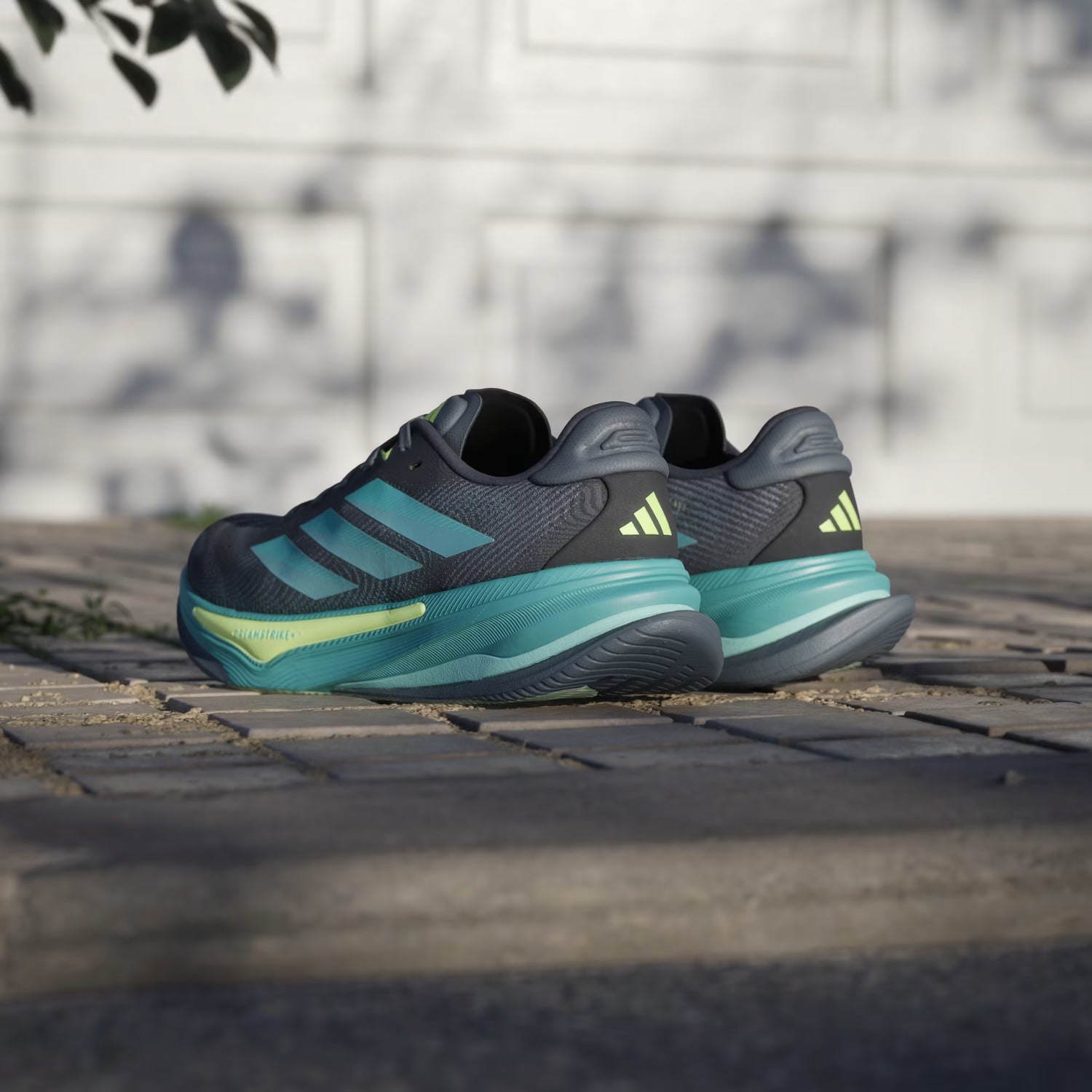 Adidas Supernova Prima 2 M Onix/Mint