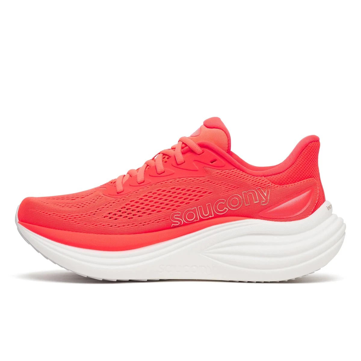 Saucony Triumph 24 Women's Viziried